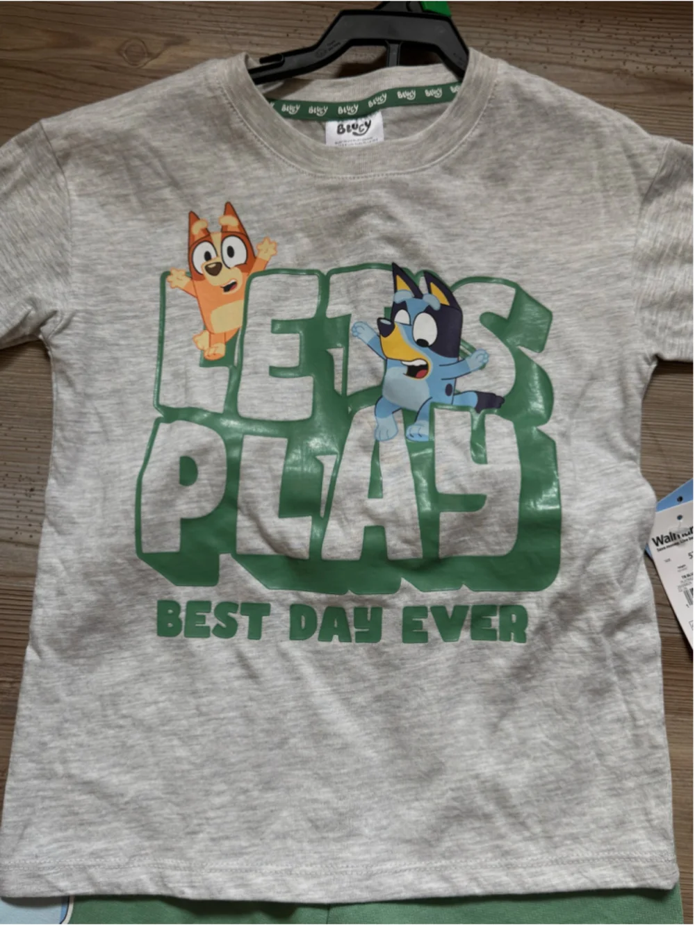 Boys Bluey Matching Set 5T Grey Green Let's Play Outfit